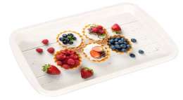 Поднос  универсальный  белый  4352662/14